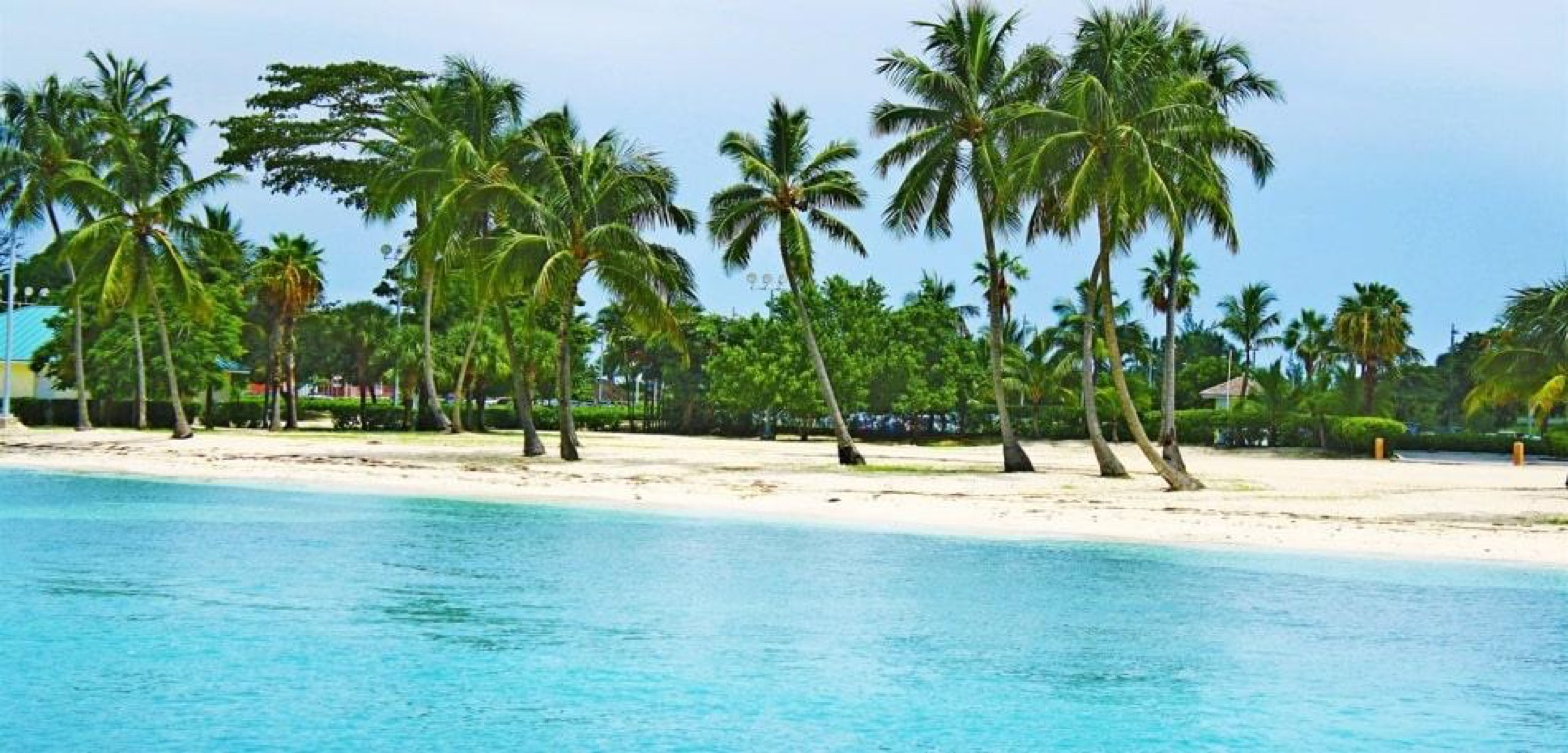 City & Island Tours